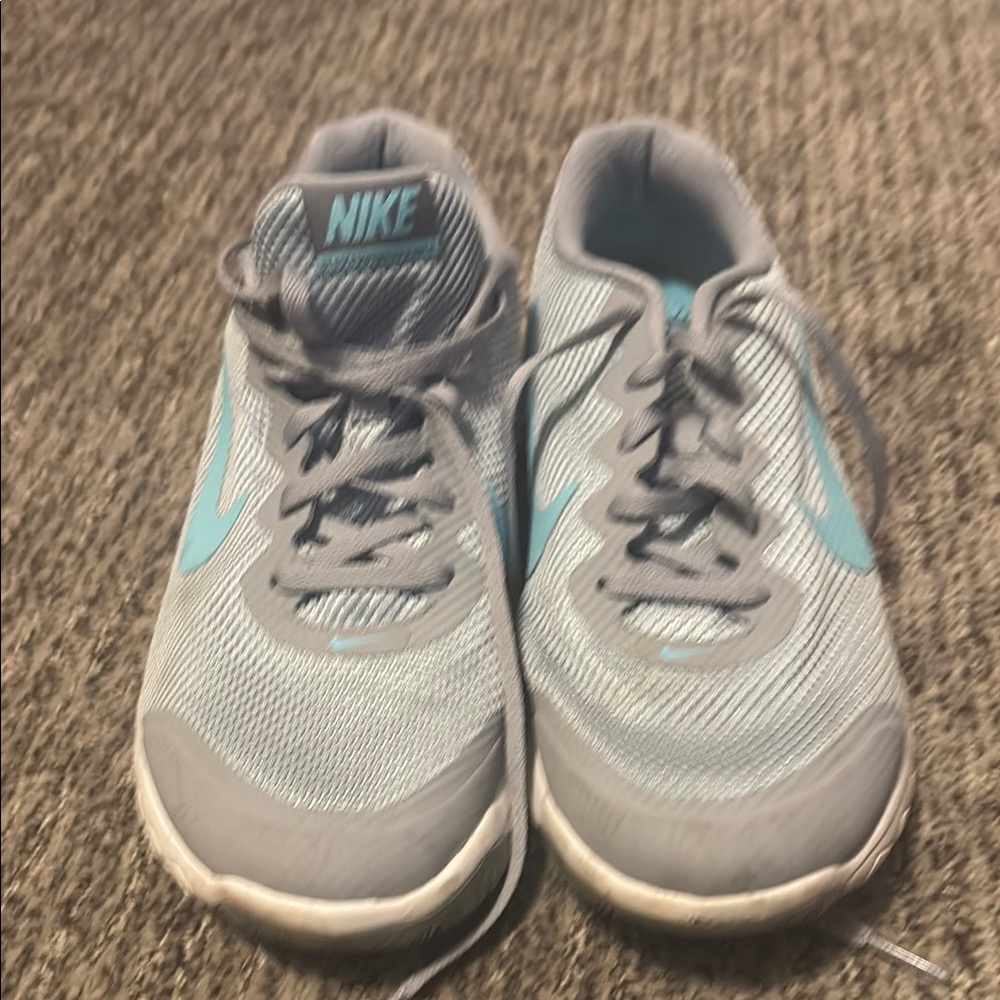 Nike Gray and Blue Sneakers with Mesh Upper and Padded Collar Flex Experience RN